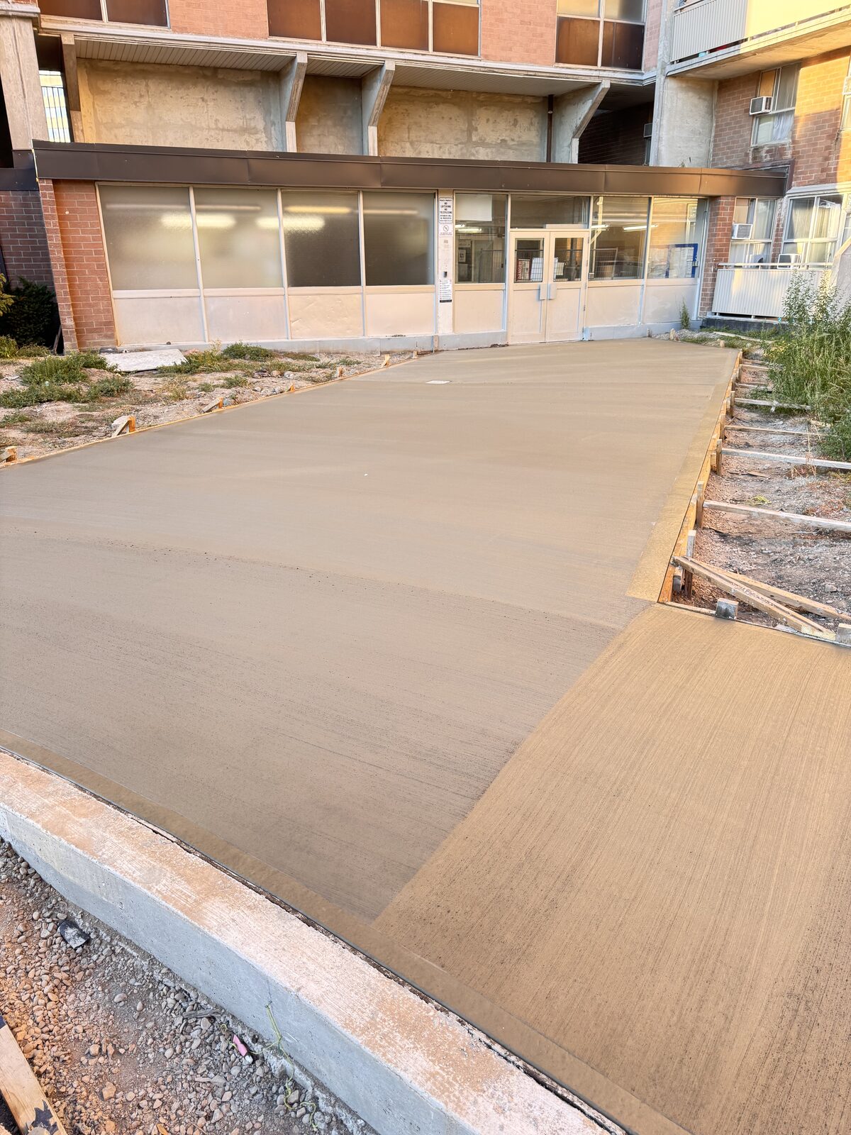 Freshly poured concrete walkway leading to a commercial building entrance.