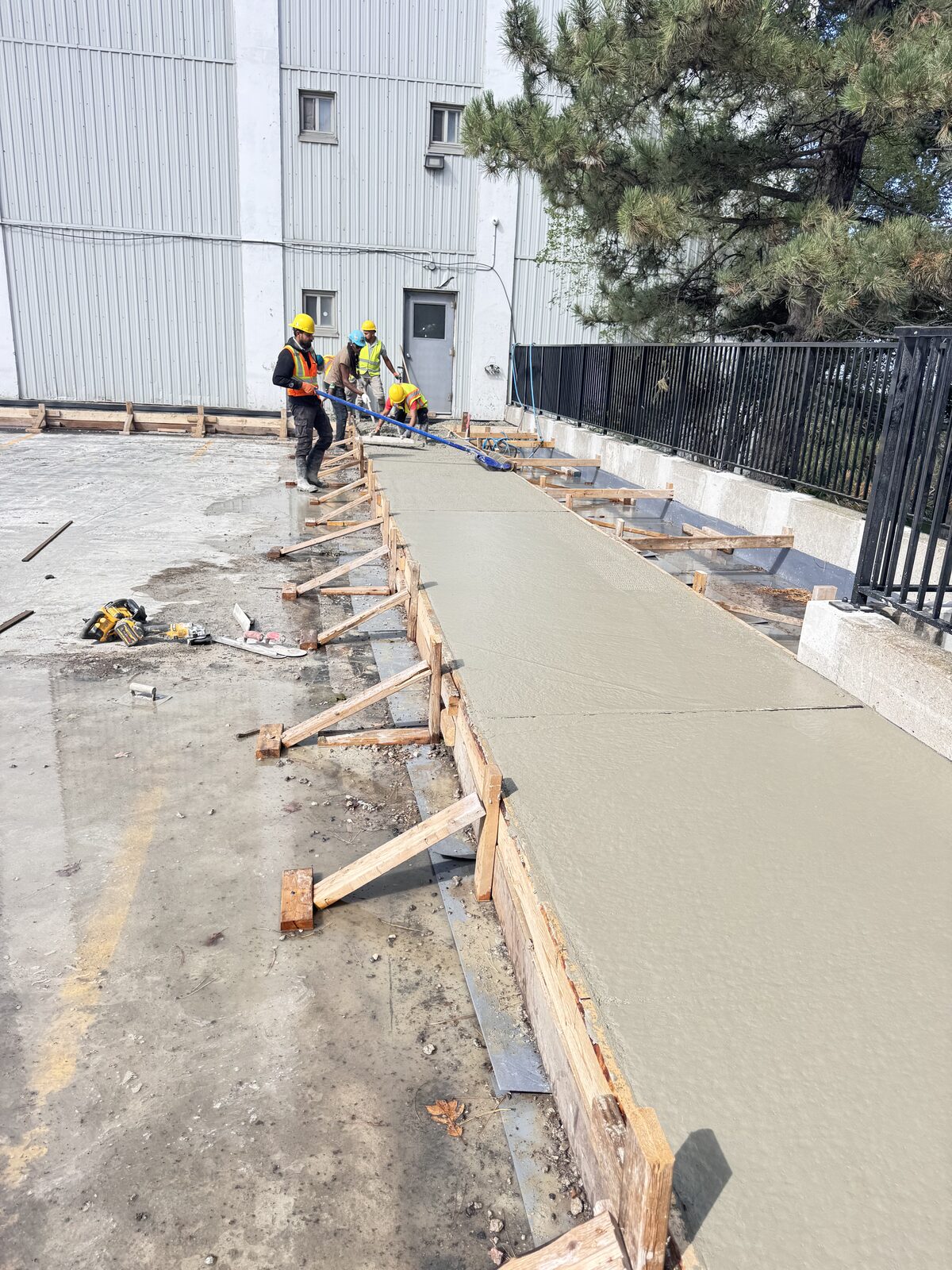Crew pouring fresh concrete for a walkway next to a building